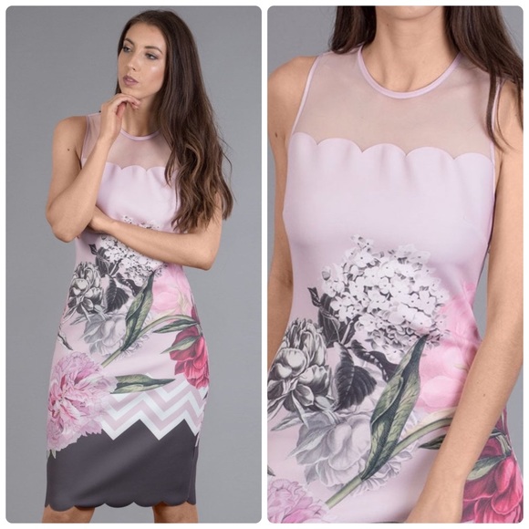 Ted Baker Palace Gardens Scalloped Sheath Dress - Picture 2 of 6